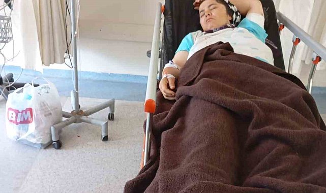 Güvende Yaylası'nda yorgun merminin isabet ettiği kadın yaralandı