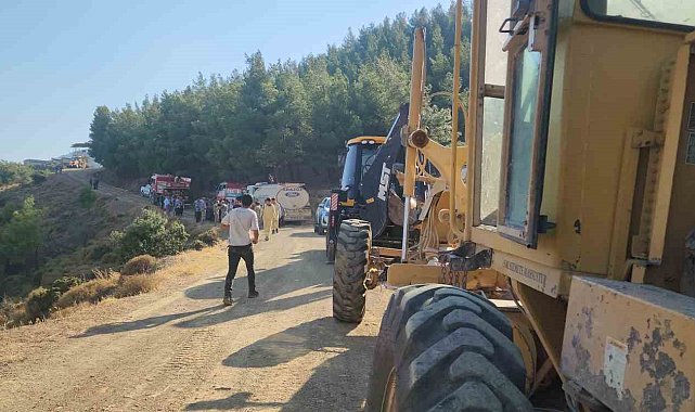 Hatay'da orman yangını