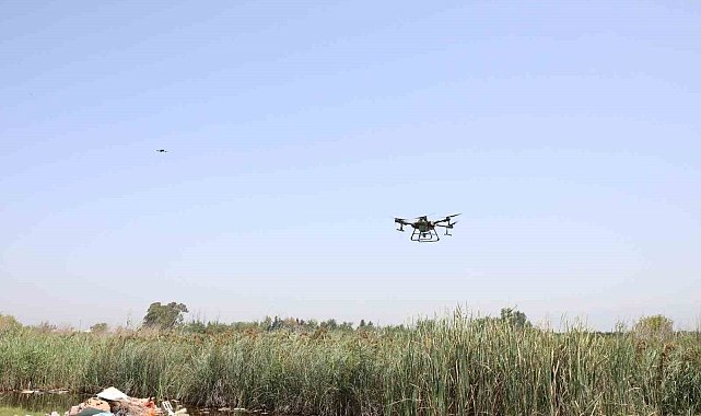 Hatay'da sinek ve haşerelere karşı 229 hektar alan dron ile ilaçlandı