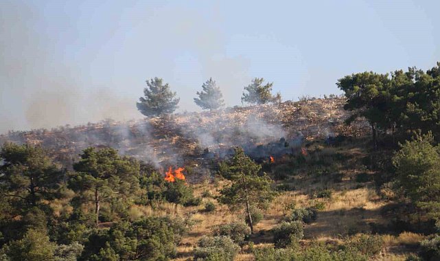 Hatay'daki orman yangınına havadan helikopterler ve uçakla müdahale ediliyor