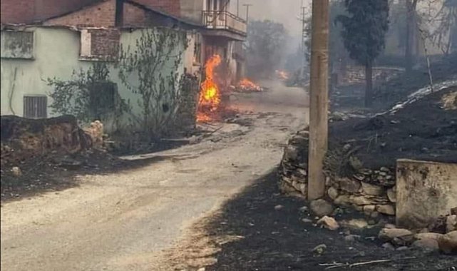 Hayvanları orman yangınında telef olan vatandaşın feryadı yürek dağladı