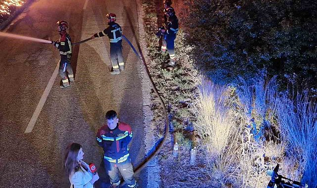 Hırvatistan'da orman yangını: 700 hektardan fazla alan kül oldu