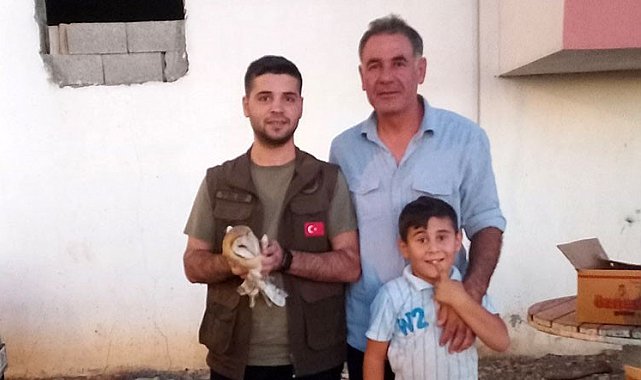 İdil&#039;de yaralı halde bulunan peçeli baykuş tedavi altına alındı