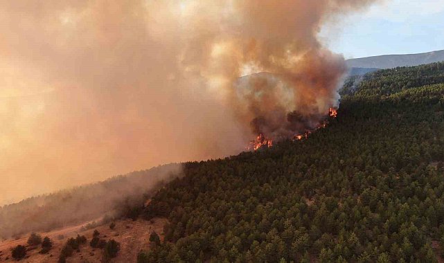 Ilgaz Dağı'nda gökyüzüne yükselen alevler havadan görüntülendi