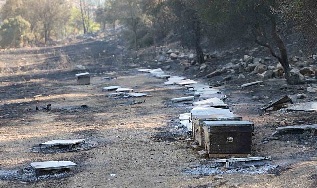 İlk kıvılcım burada çıktı, Yatağan'ı yaktı