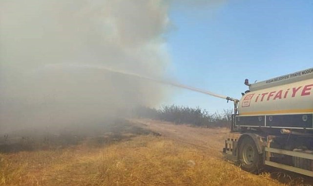 İpsala'daki orman yangında 200 dekarlık alan zarar gördü