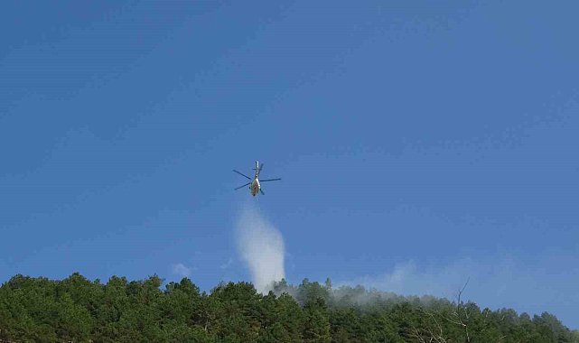 Isparta'daki orman yangını havadan ve karadan müdahaleyle söndürüldü