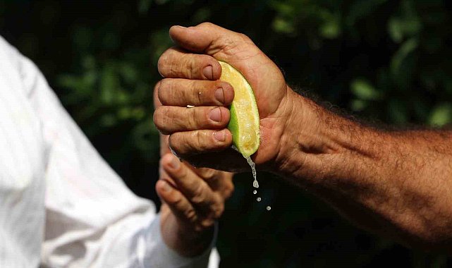 İstanbul'da geçen ay en çok pahalanan ürün limon oldu