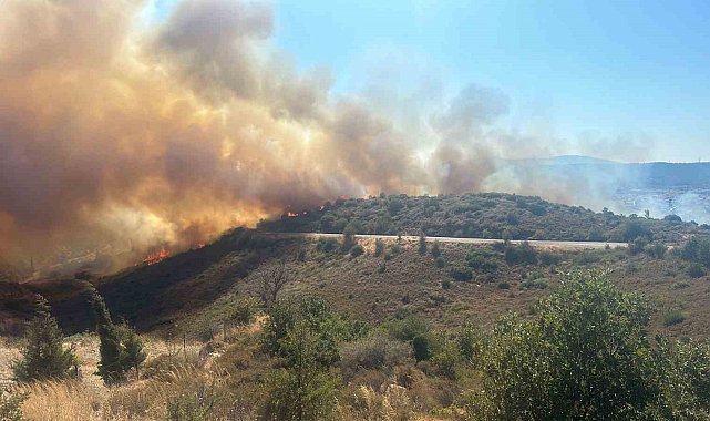 İzmir'de ormana sirayet eden yangına havadan ve karadan müdahale