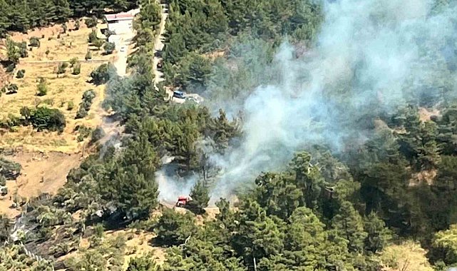 İzmir'de ormanlık alanda yangın