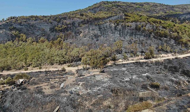 İzmir'de yanan yerler havadan görüntülendi