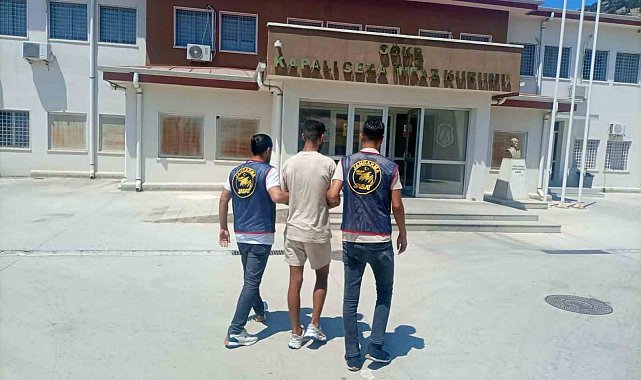 Jandarma 7 ayda 2 bin 317 şahsı yakaladı