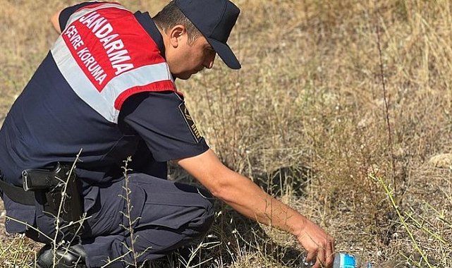 Jandarma ekipleri minik kaplumbağaya yardım etti