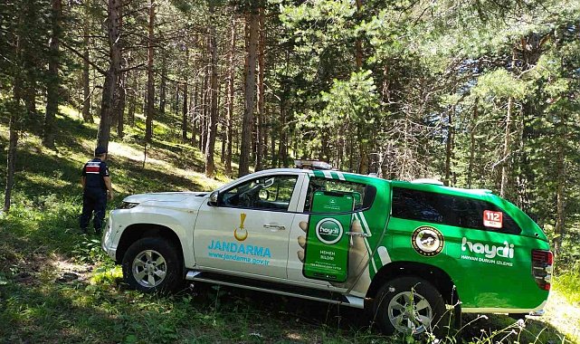 Jandarma ormanları koruyor