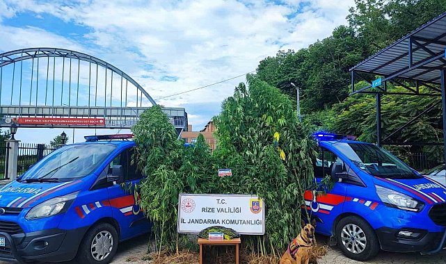 Jandarmadan Temmuz ayı bilançosu