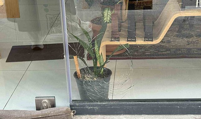 Kağıthane'de Filistinli iş adamına silahlı saldırı sonrası yaşanan hareketlilik cep telefonu kamerasına yansıdı