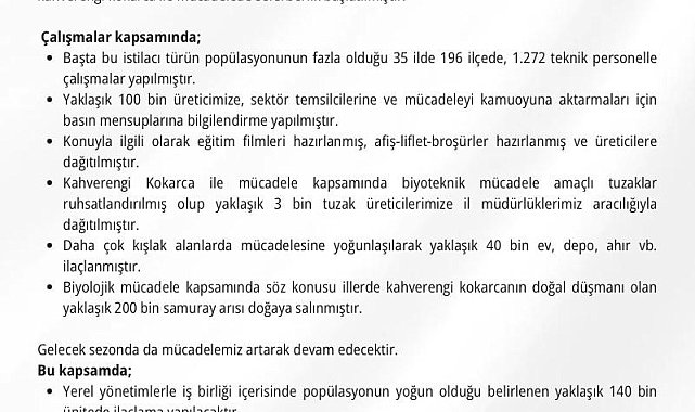 Kahverengi kokarca ile mücadele için 300 bin samuray arısı doğaya salınacak