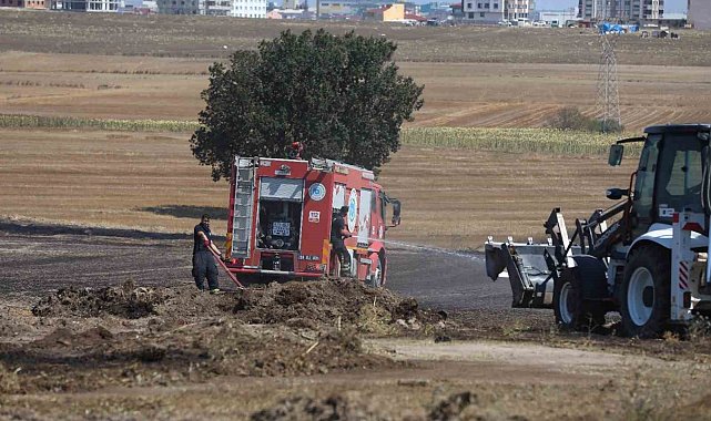 Kapaklı'da 30 dekar tarım arazisi kül oldu