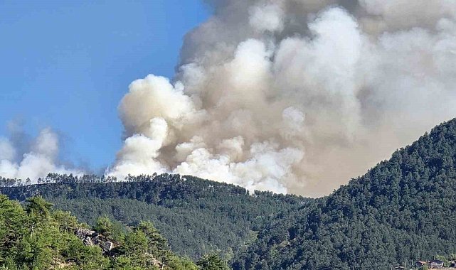 Karabük'te orman yangını