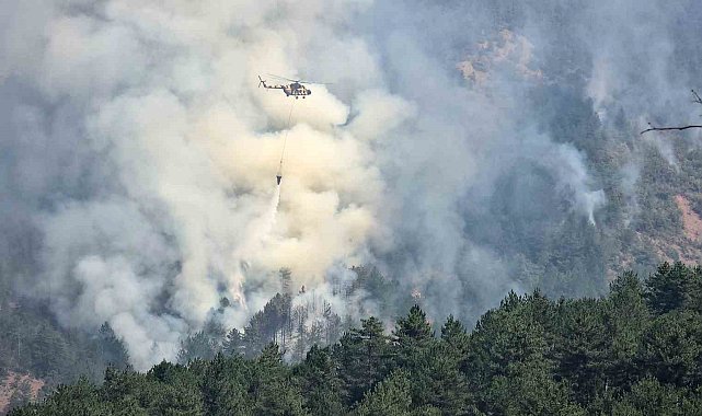 Karabük'teki orman yangınında rüzgar etkisini artırıyor