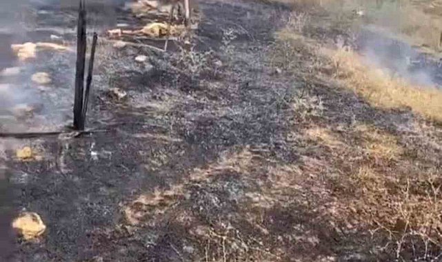 Karacabey'de otluk alanda çıkan yangın korkuttu