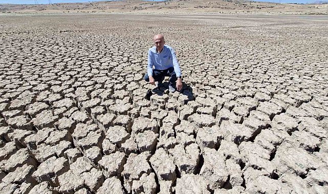 Karaman'da baraj kurudu, binlerce balık telef oldu