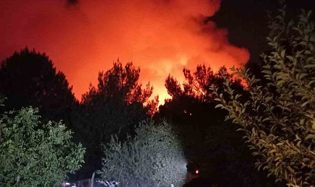 Karşıyaka'da orman yangını