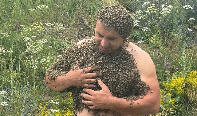 Karslı 'Arı Adam', binlerce arıyla savaşlara dikkat çekti