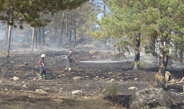 Kastamonu&#039;da çıkan orman yangını söndürüldü