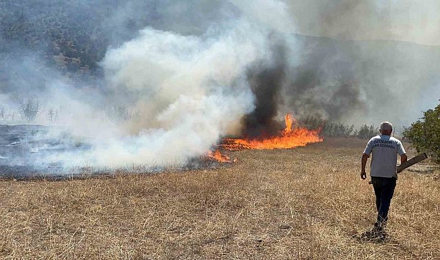 Kastamonu'da korkutan arazi yangını