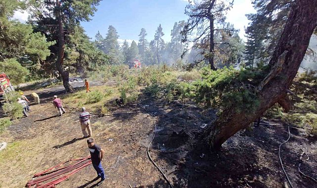 Kastamonu'da ormanlık alanda çıkan yangın büyümeden söndürüldü