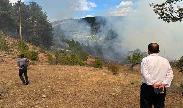 Kastamonu'daki orman yangını söndürüldü
