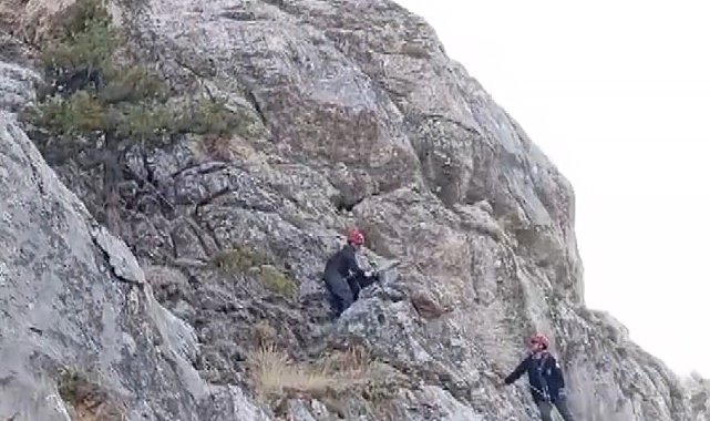 Kayalıklarda mahsur kalan keçiler kurtarıldı