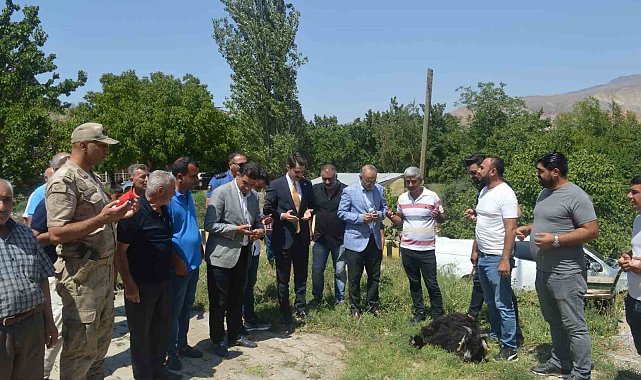 Kaymakam Yılmaz'dan şehit ve gazi ailelerine ziyaret