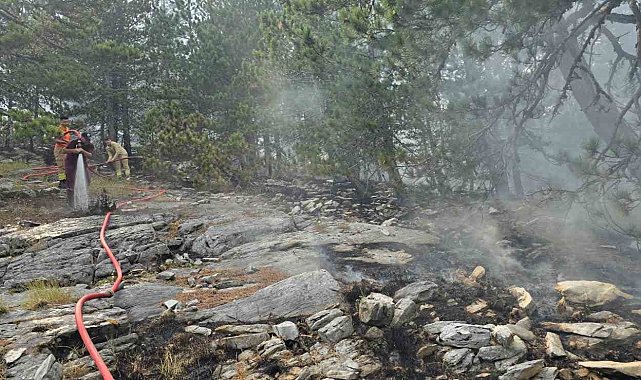 Kazdağları&#039;nda yangına havadan müdahale sürüyor