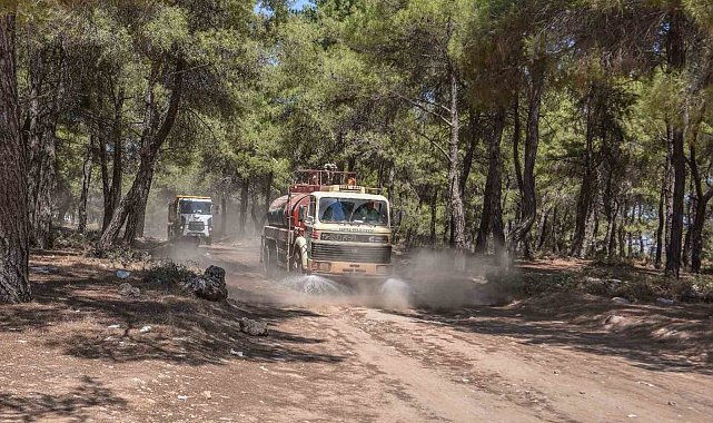 Kepez Belediyesi, orman yangınına karşı teyakkuzda