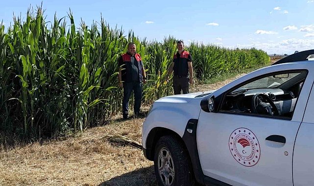 Kırklareli'nde ekili alanlar incelendi