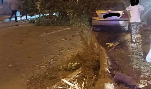 Kontrolden çıkan otomobil refüjdeki ağaçlara çarptı: 2 yaralı