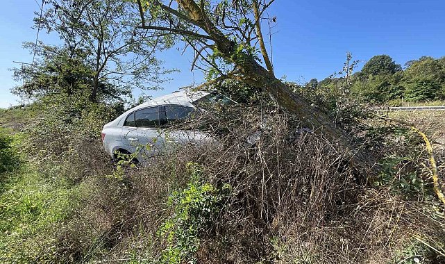 Kontrolden çıkan otomobil, tarlaya girdi