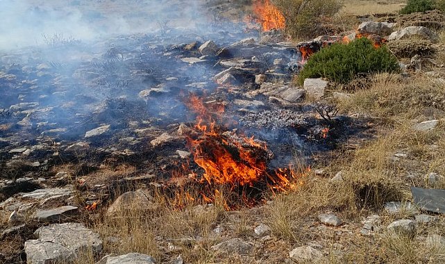 Konya&#039;da yaylada örtü yangını