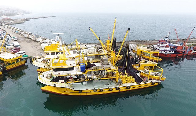 Kooperatif Başkanı Ünlü: "Bu sene 50 kat daha palamut var"