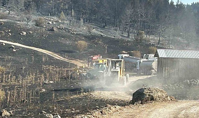 Körfez Belediyesi'nden Ankara ve Bolu arasındaki yangına destek