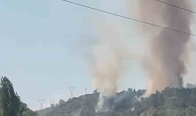 Köyceğiz-Ortaca karayolunda orman yangını