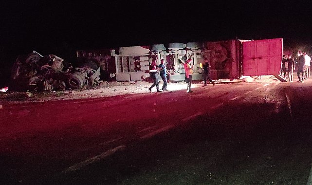 Koyun yüklü tır devrildi onlarca koyun telef oldu