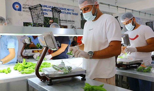 Kumluca Yaş Sebze Meyve Kurutma ve Paketleme Tesisi ile kayıplar en aza iniyor