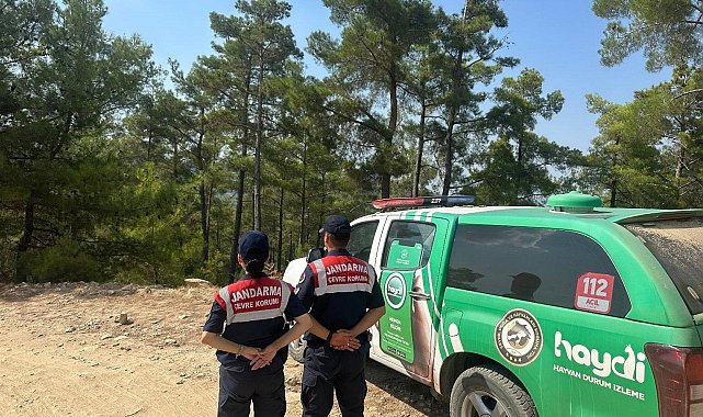 Kuşadası&#039;nda yasaklara uymayanlar cezadan kaçamadı
