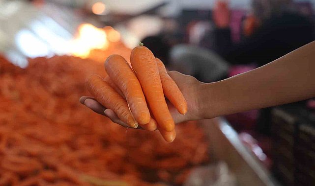 Lezzetini topraktan, kalitesini teknolojiden alan havucun üretiminde yüzde 500 artış