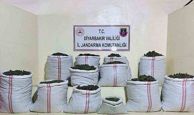 Lice'de 2 milyon 715 bin kök kenevir ve skunk bitkisi ele geçirildi