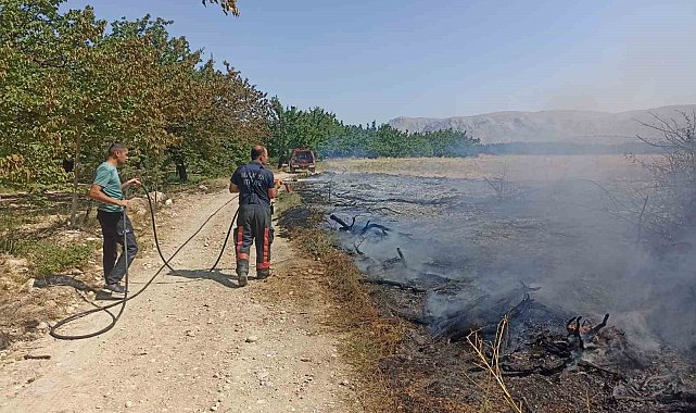 Malatya'da anız ve bahçe yangınları