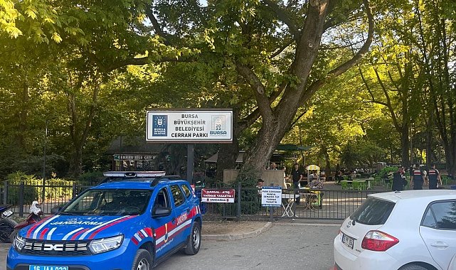 Mangal yakanlara ceza yağıyor